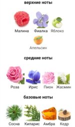 9pm pour Femme — изображение 4