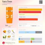 Yara Tous — изображение 3