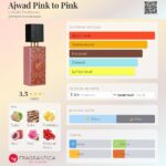 Ajwad Pink to Pink — изображение 3