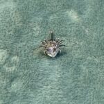 СЕРЬГА SPIDER HEART