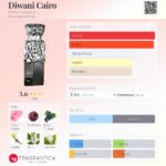 Diwani Cairo — изображение 3