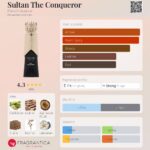 Sultan The Conqueror - imagine 2