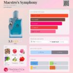 Maestro's Symphony — изображение 2