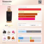 Momento — изображение 3