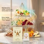 Here Comes The Sun. Astan — изображение 2