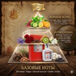 Pirate — изображение 2