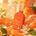 Freeze Mandarin Dream - imagine 2