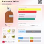 Luminous Sahara — изображение 2