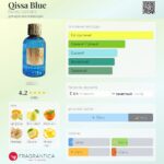 Qissa Blue — изображение 3
